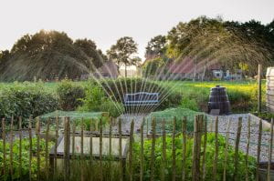 Oscillating Sprinkler watering a garden