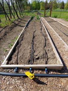 Drip Irrigation in a garden bed