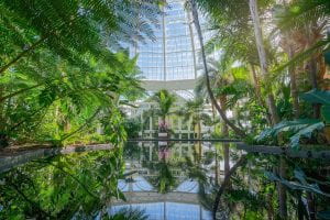 The reflecting pool in the Palms of the World Gallery of the Enid A. Haupt Conservatory at the New York Botanical Garden