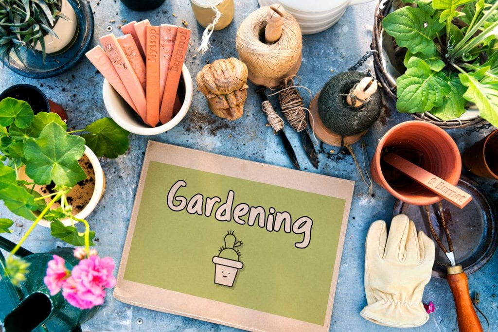 Gardening - Pots, plants, gloves, plant signs