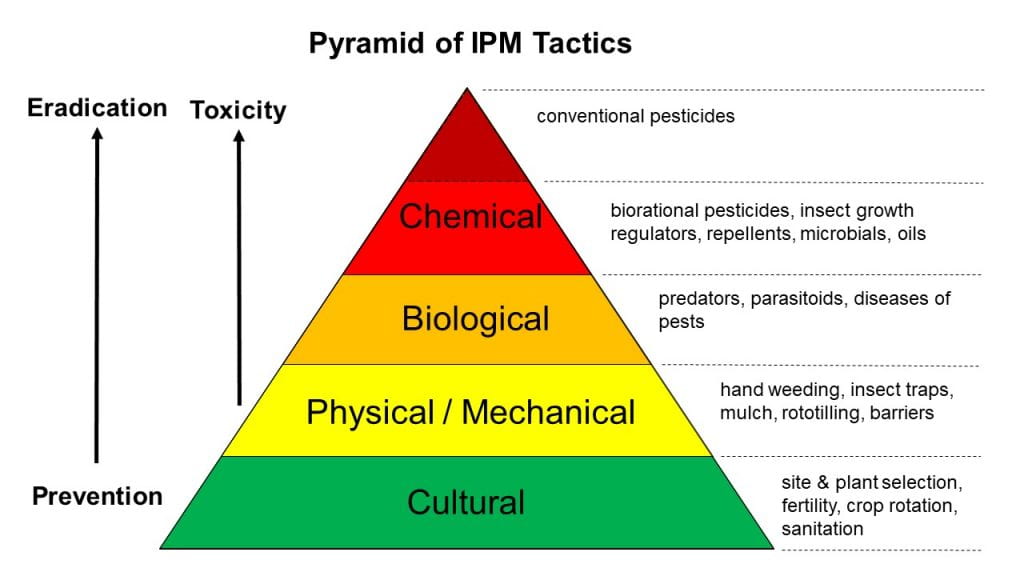 Pyramid of IPM Tatics (from top to bottom, prevention to eradication, least toxic to most toxic) Cultural: site & plant selection, fertility, crop rotation, sanitation; Physical/Mechanical: hand weeding, insect traps, mulch, rototilling, barriers; Biological: predators, parasitoids, diseases of pests; Chemical: biorational pesticides, insect growth regulators, repellents, microbials, oils; Chemical: conventional pesticides