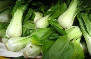 Pile of heads of pak choi