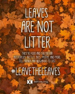 Text: Leaves are not litter. They're food and shelter for butterflies, beetles, bees, moths, and more. Tell friends and neighbors to just #LEAVETHELEAVES