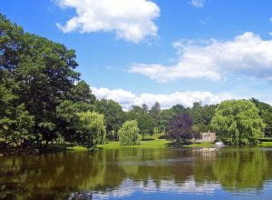 Photo: Trees on the grassy bank of a pond. The trees are varying shades of green with one dark purple colored tree. A bright blue sky with several white clouds takes up the top half of the photo. The runs to the bottom of the photo and the trees and sky are reflected in it.
