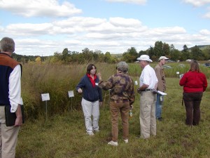 Dr. Hilary Mayton discusses perennial grass field plot trials at Cornell University.