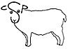 Cornell Sheep Program