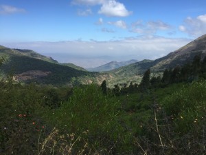 Mountain vista