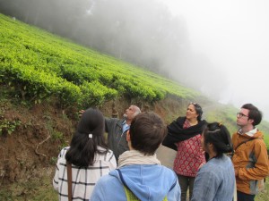 Class trip to nearby forests and tea plantations