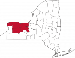 Map of New York State showing county borders. The NWNY Team's nine county region is highlighted in red.