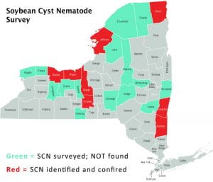 Map of New York State showing were Soybean Cyst Nematode has been found.