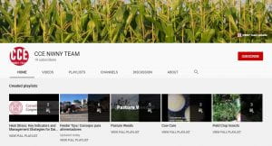 Screenshot of the NWNY Team YouTube Channel Page