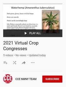 Screenshot of 2021 Crop Congress Playlist on YouTube