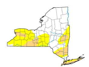 Map of New York State with areas colored in yellow and tan.