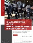 Cover photo show beef x dairy calves for the white paper titled, "Characteristics of the beef x dairy industry in New York State" by Margaret Quaassdorff and Betsy Hicks
