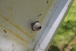 When yellow jacket nests are this small, there is little risk in removing them manually.