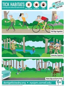 illustration of tick habitat including a walker, jogger, child, and bicycler on a bike trail, a birdwatcher, fisherman, and two boys in the woods, and two boys playing soccer, a man feeding birds from a bench, and two girls on a swingset in a park.
