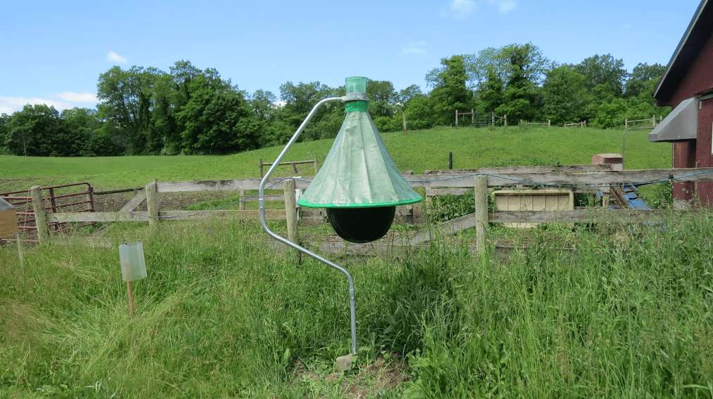 This photo shows an outdoor trap that is suspended on a curved pole. The trap is a very large black ball with a netted, peaked canopy over it. Flies are attracted to the black ball and then fly up into the netted trap.