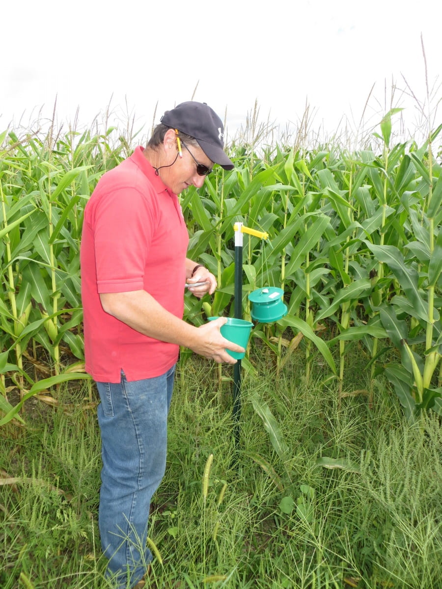 Fields Crop Specialist Mike Hunter is seen near a trap meant for pests entering this field corn plot.