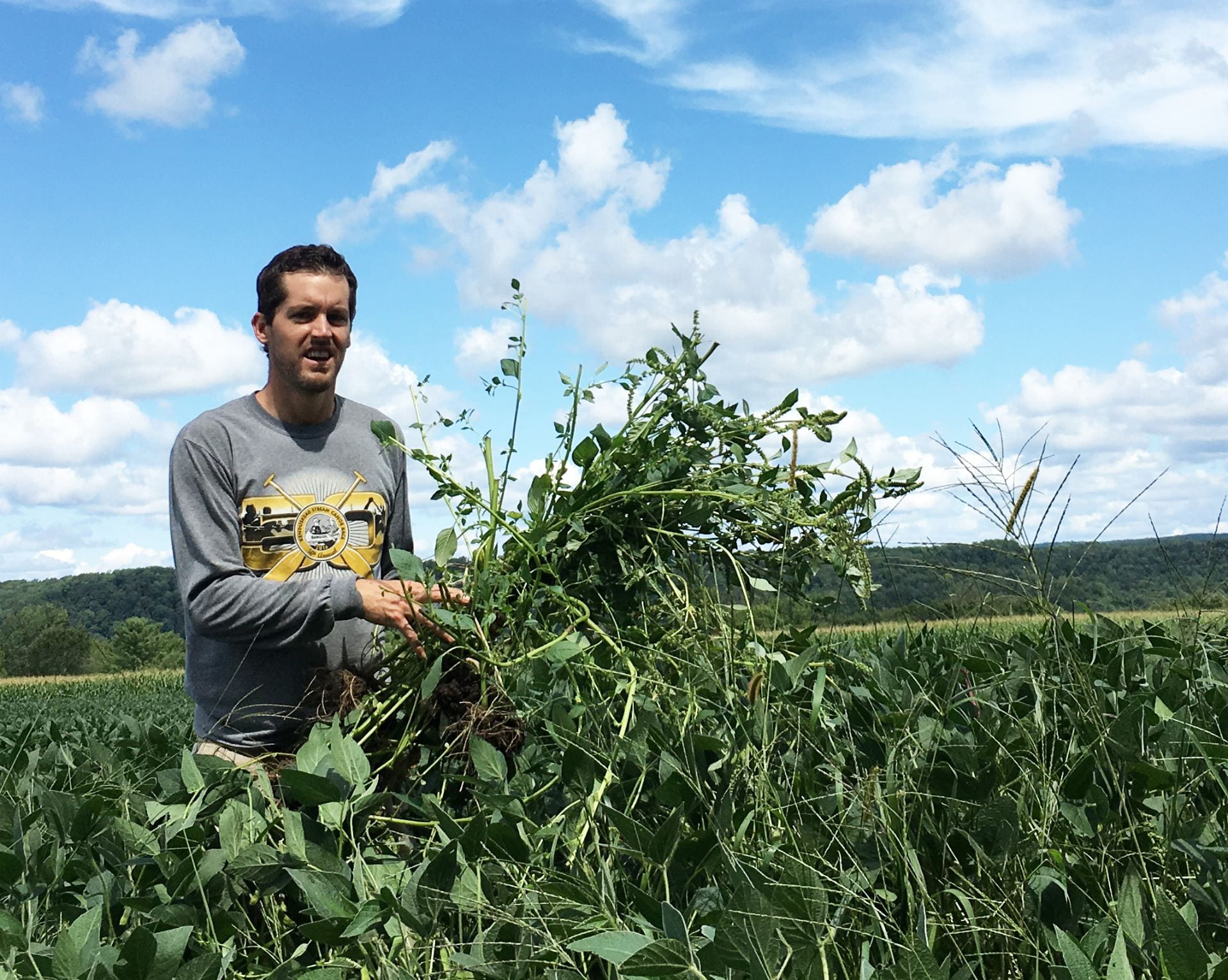 Photo of Dr. Bryan Brown with waterhemp weeds we removed from a soybean field.