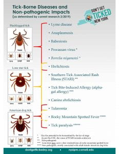 Different tick species host different pathogens. Importantly, ticks can transmit more than one pathogen at a time.