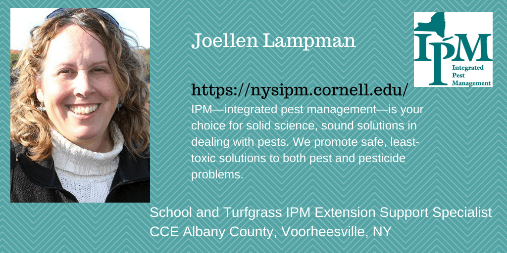 a graphic showing a photo of Joellen Lampman and her role at New York State Integrated Pest Management. She is the school and turfgrass specialist and is located in the Albany Cooperative Extension Office in Voorheesville.