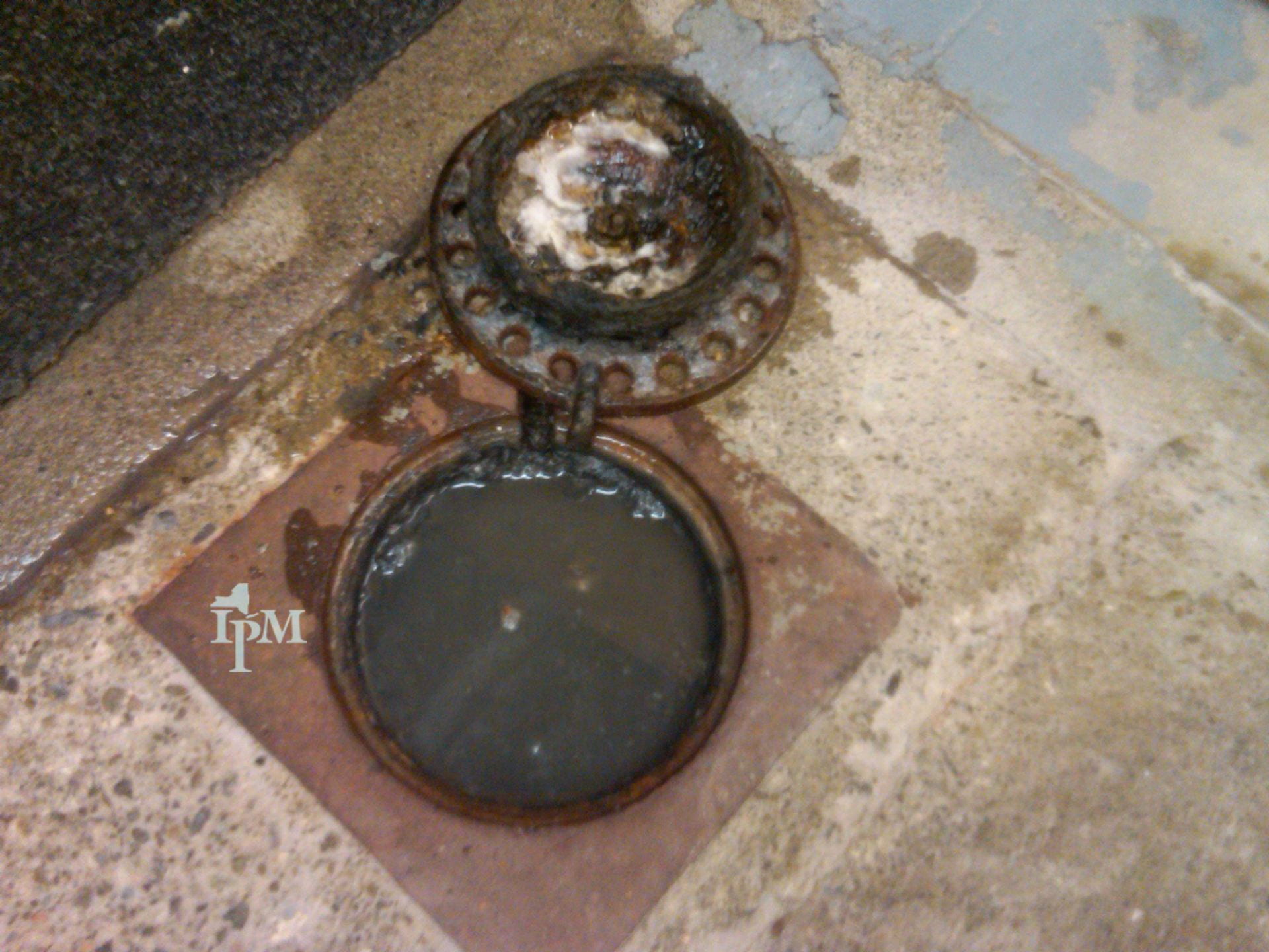 photo shows a plugged floor drain in a commercial kitchen