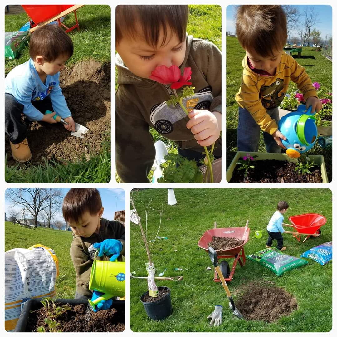 collage photos of children planting