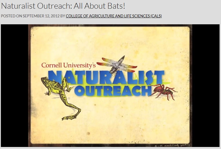 photo of the title to a video about bats from the Cornell University Naturalist Outreach program