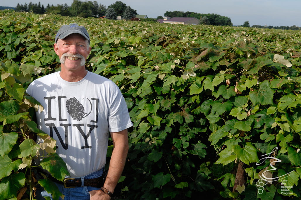 Photo shows Tim Weigle standing in a vineyard