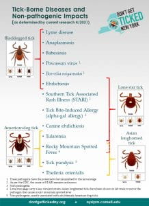 The chart show that blacklegged ticks can transmit the pathogens that cause Lyme, Anaplasmosis, Babesiosis, Powassan Virus, Borrelia miyamotoi, and Erlichiosis. Lone star ticks can transmit the pathogens that cause Erlichiosis, STARI, possibly alpha-gal allergy, Canine Erlichiosis, Tularemia, and possible Rocky Mountain Spotted Fever, and American dog ticks can transmit the pathogens that cause Tularemia, Rocky Mountain Spotted Fever, and cause tick paralysis.