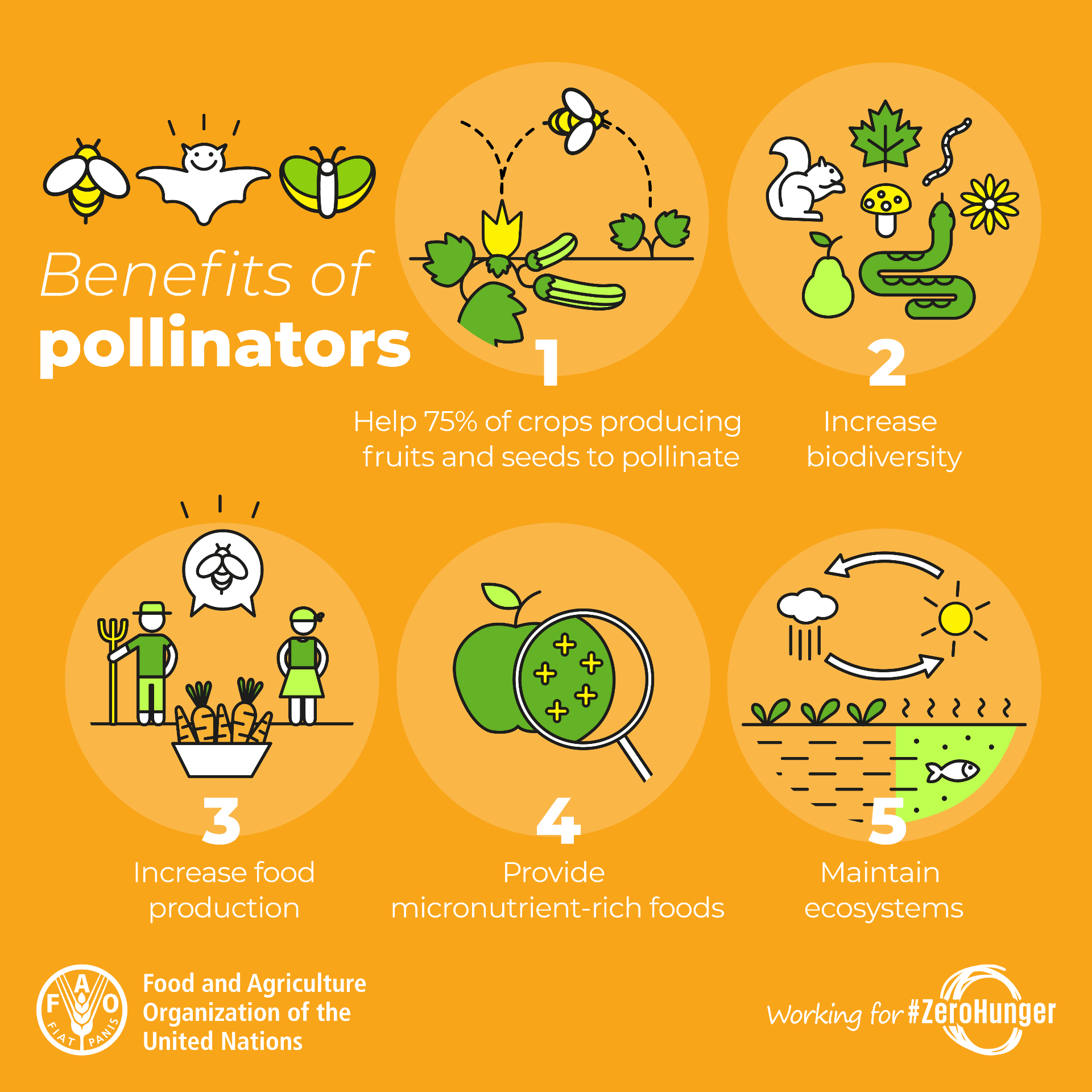benefits of pollinators poster