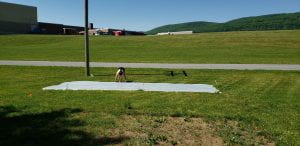 Lindsey Christiansen is pinning a clear plastic sheet down over existing lawn.