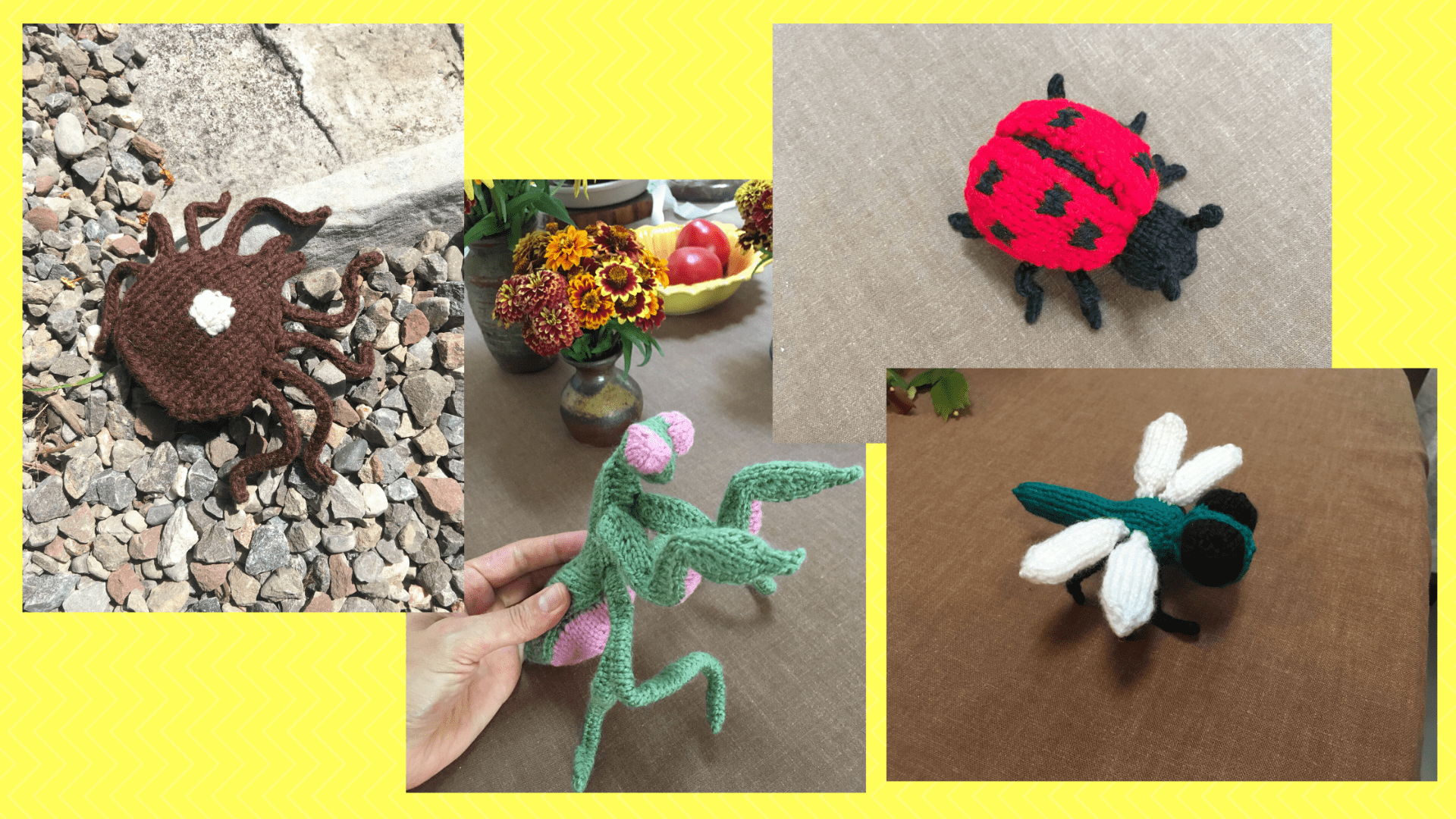 graphic shows four photos of animals knitted by Amara