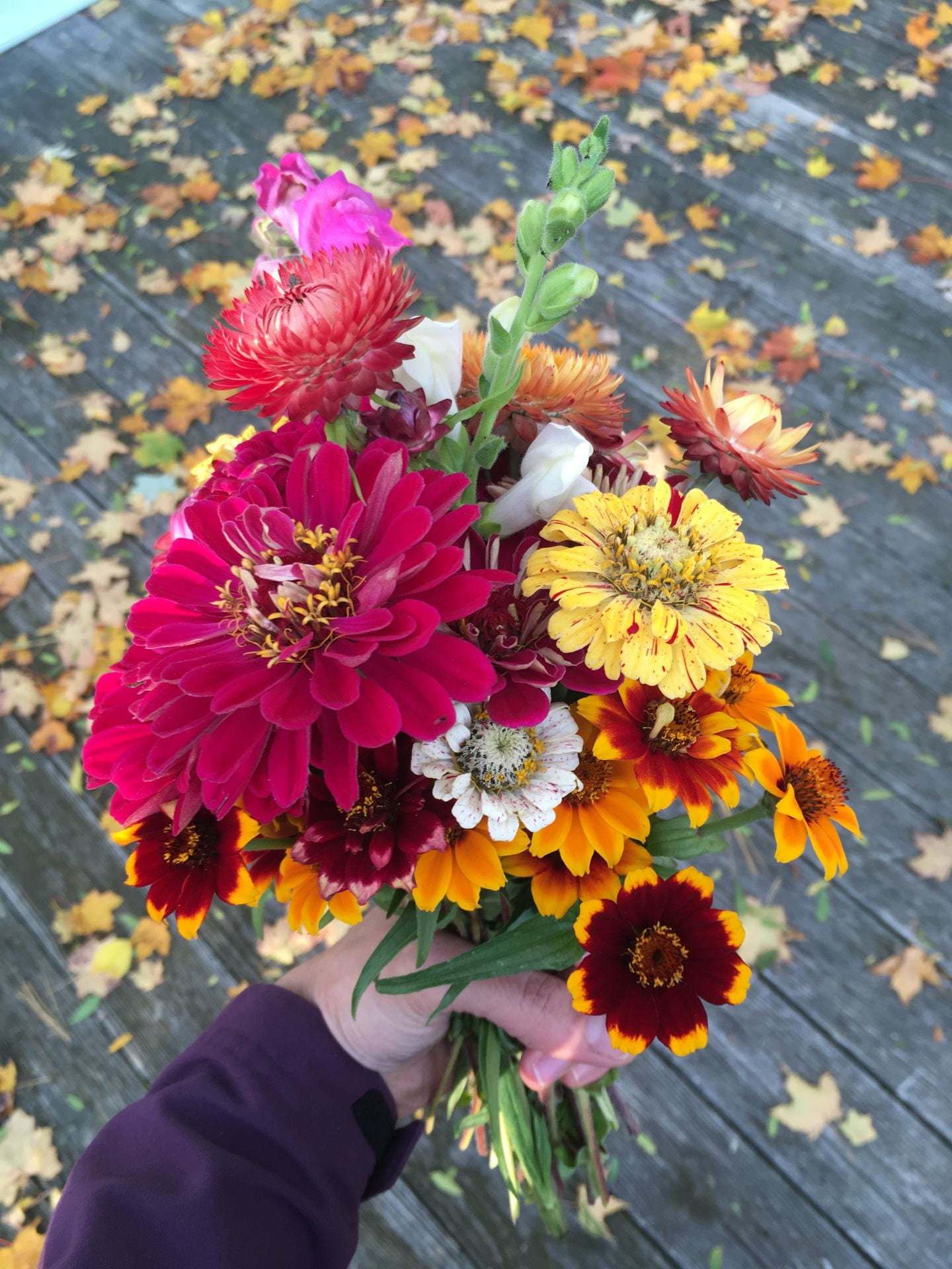 photo of a flower arrangement
