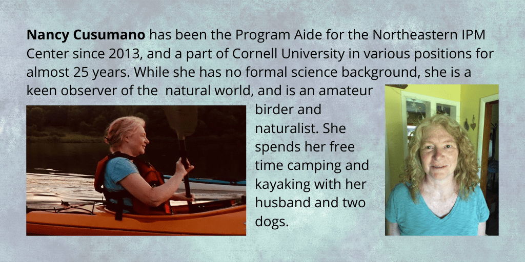 graphic shows two photos of Nancy Cusomano, and her bio: Nancy Cusumano has been the Program Aide for the Northeastern IPM Center, since 2013. Nancy has been at Cornell University in various positions for almost 25 years. While she has no formal science background, she is a keen observer of the natural world and is an amateur birder and naturalist. She spends her free time with her husband and two dogs, camping and kayaking.