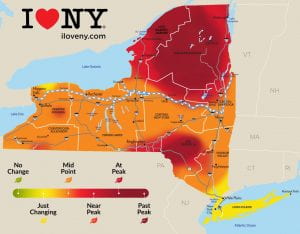photo of map of NYS with heat map showing the stage of leaf color from Oct. 7-13. Adirondacks and Catskills are at or past peak. Long Island and the lower Hudson Valley are just changing. The rest of NY is at mid-point 