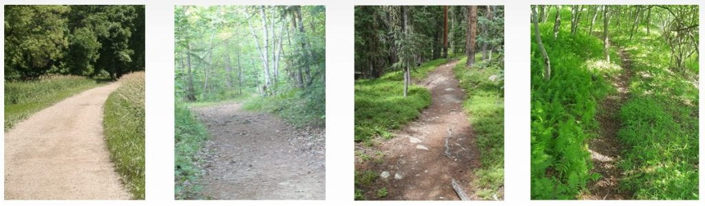 picture of 4 different trails each one narrower and with more vegetation than the next