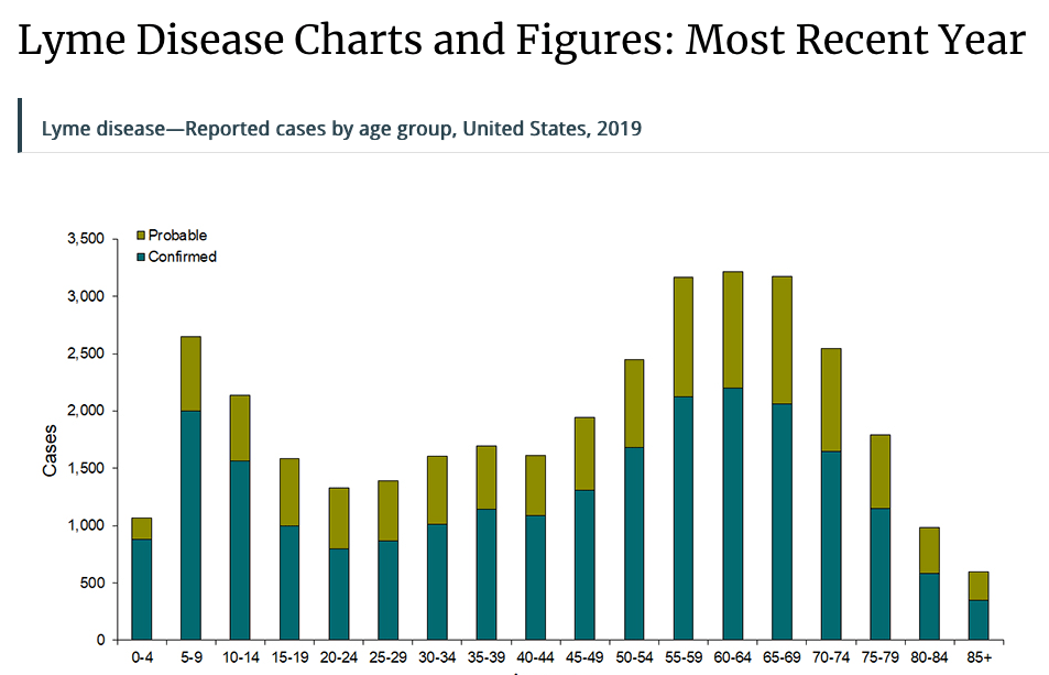 graph shows 2019 cases of lyme by age group. higher numbers in school aged children and older adults.