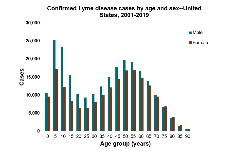 chart shows that over a period of 18 years, school age boys had the higher number of Lyme cases