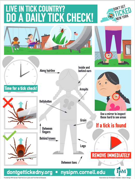 graphic is our tick check poster for students