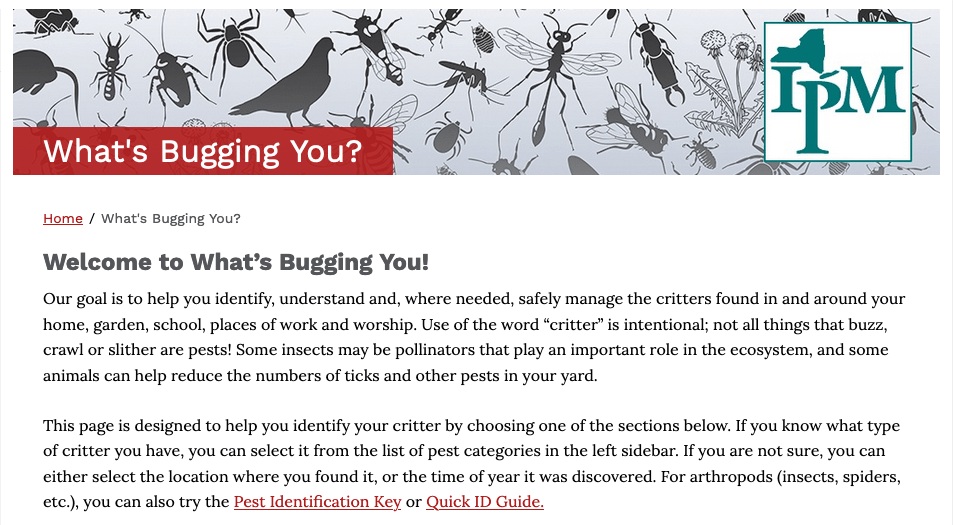 part of the What's bugging you website front page