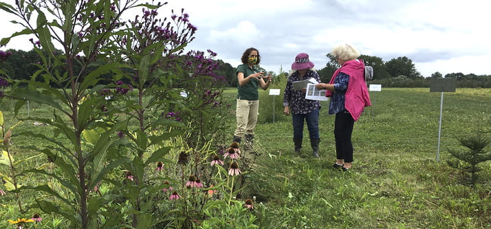 people on a tour of the beneficial insect habitat