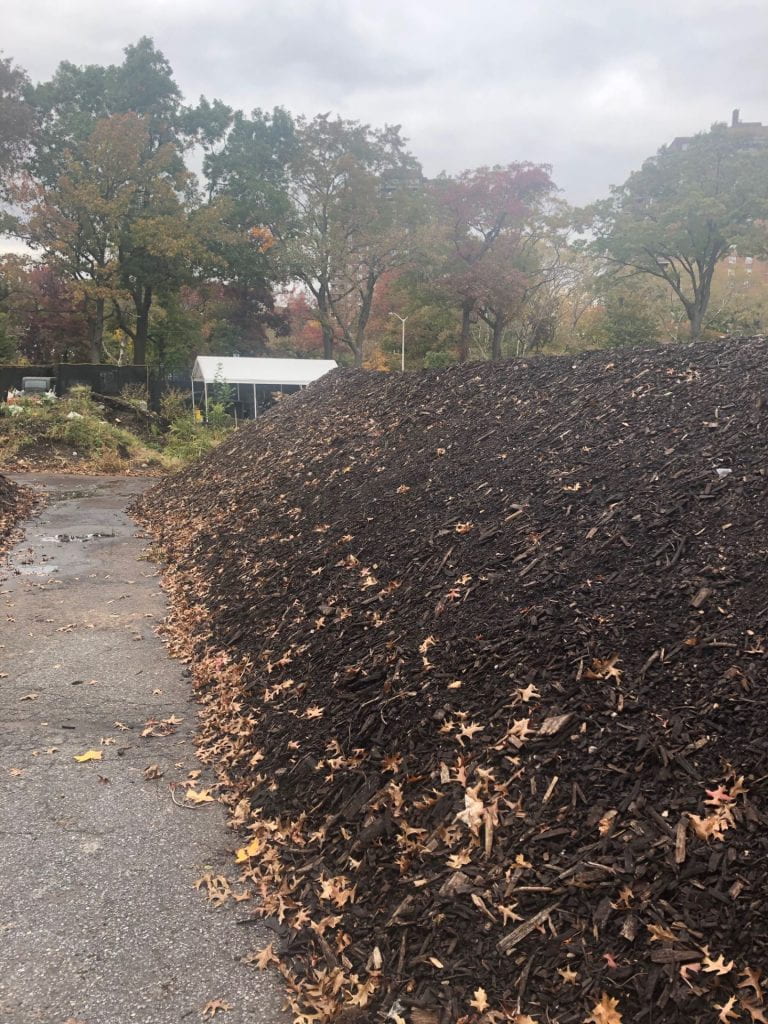 picture of compost pile