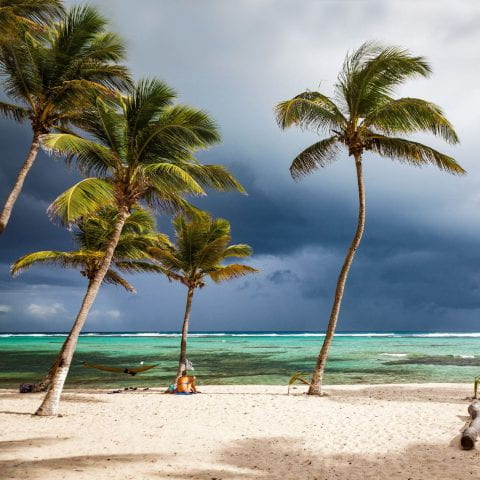 tropical beach with palm trees and stormy sky