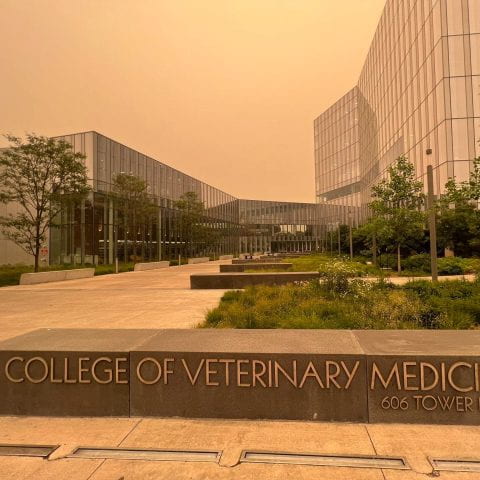 CVM building shrouded in haze from wildfire smoke
