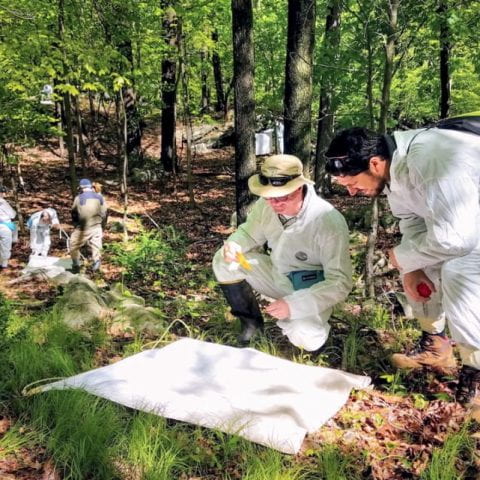 Participants in the 2019 Vector Biology Boot Camp in Armonk, New York, learn how to collect ticks from the environment using tick drags.