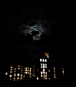 Night sky while walking to Bailey Hall