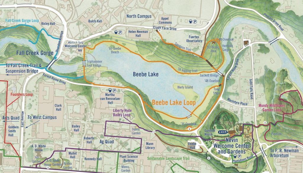 Beebe Lake Map