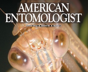 Cover of American Entom summer 2014