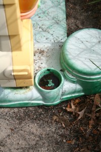 Plastic playsets can have small chambers that serve nicely as a mosquito breeding site.